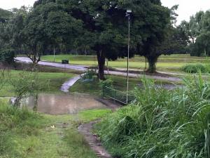 1511228_10203953035080837_3125121417165675417_n