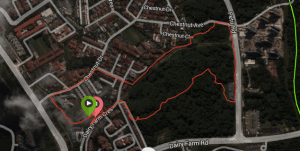 Screen Shot 2014-12-08 at 10.57.35 am