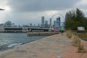 11054324_10153324207659384_7433917392282255194_n